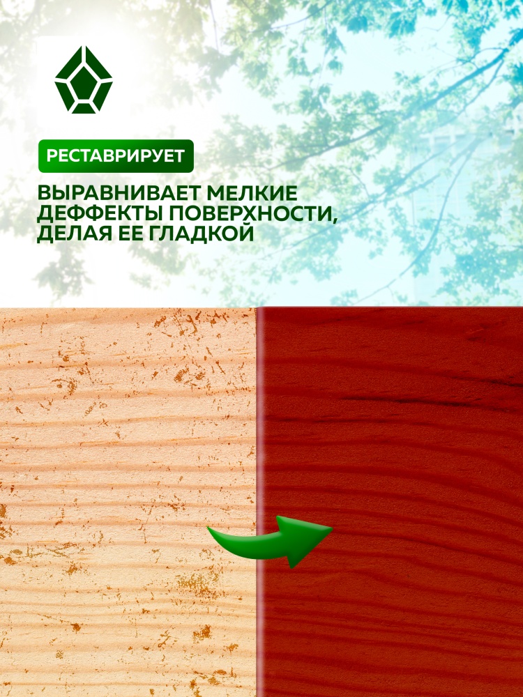 Лак универсальный тонирующий по дереву FARBITEX PROFI WOOD