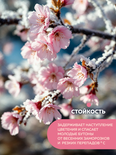 Краска для садовых деревьев FARBITEX